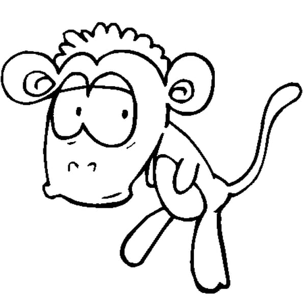 Coloriage Singe Rigolo En Ligne Gratuit À Imprimer concernant Comment Dessiner Un Singe