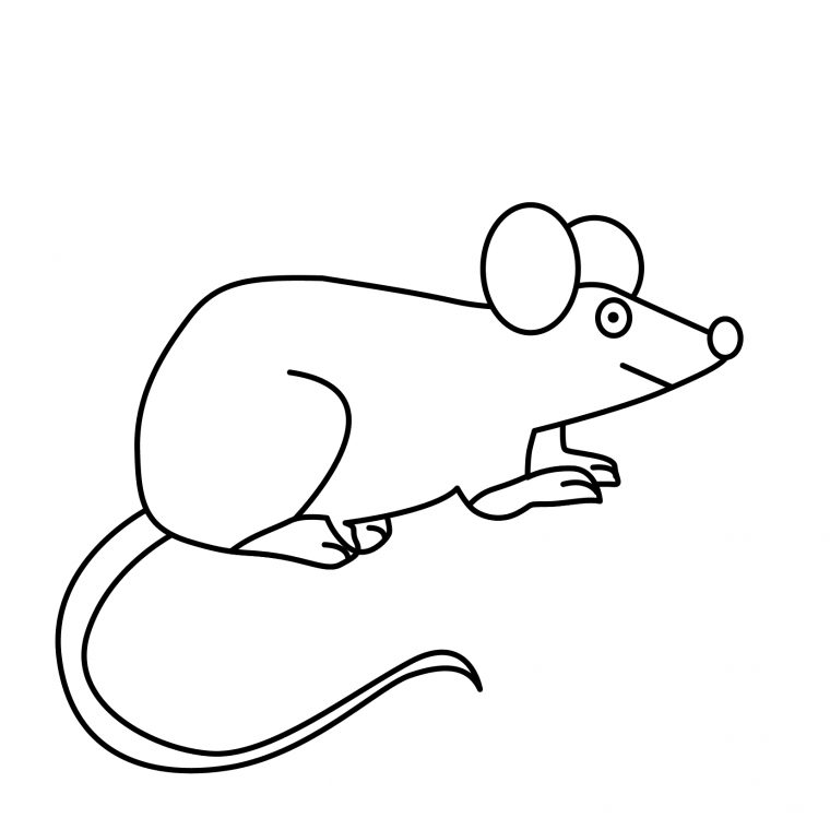 Coloriage Souris #14028 (Animaux) – Album De Coloriages avec Dessin Animaux Simple