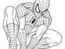 Coloriage Spiderman 3 En Reflexion Dessin À Imprimer serapportantà Coloriage Spiderman