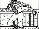 Coloriage Spiderman À Colorier - Dessin À Imprimer intérieur Spiderman Coloriage À Imprimer