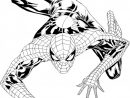 Coloriage Spiderman Gratuit À Imprimer Pour Les Enfants intérieur Spiderman A Imprimer