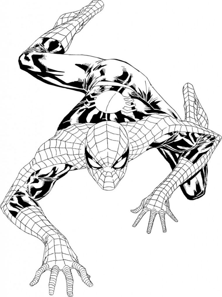 Coloriage Spiderman Gratuit À Imprimer Pour Les Enfants intérieur Spiderman A Imprimer