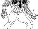 Coloriage Spiderman Gratuits À Imprimer (Coloriages dedans Coloriage Spiderman