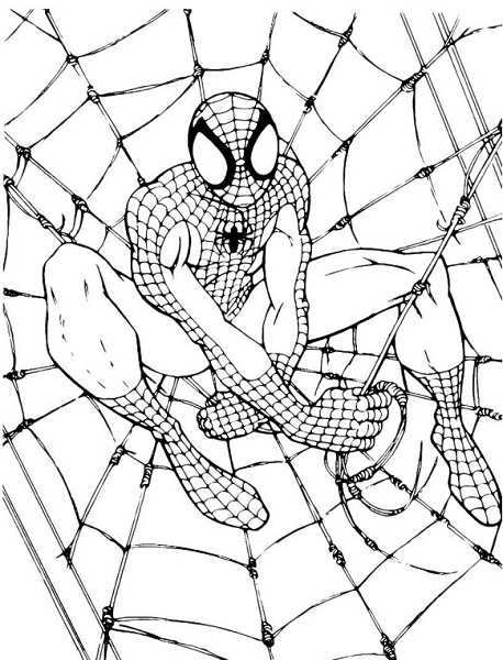 Coloriage Spiderman - Spiderman À Imprimer Gratuit concernant Spiderman A Imprimer