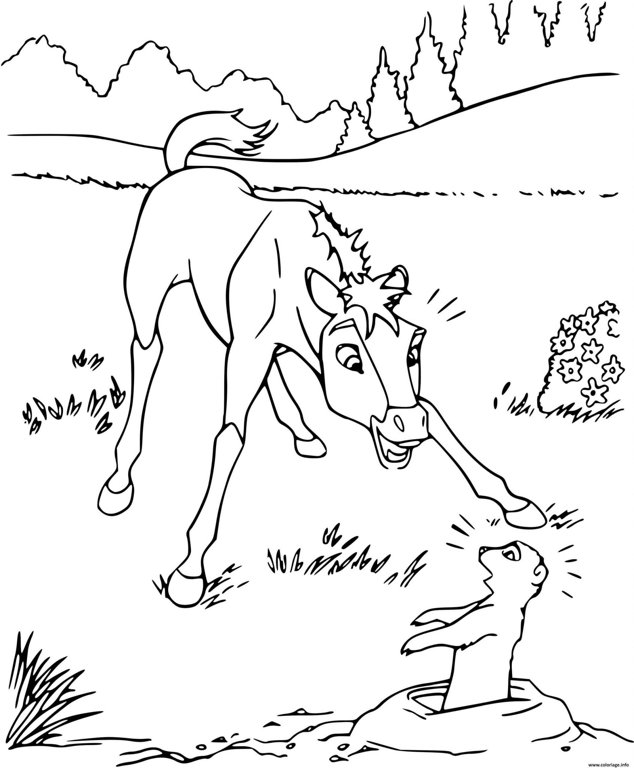 Coloriage Spirit Poulain Dessin Spirit À Imprimer avec Coloriage Cheval Au Galop 