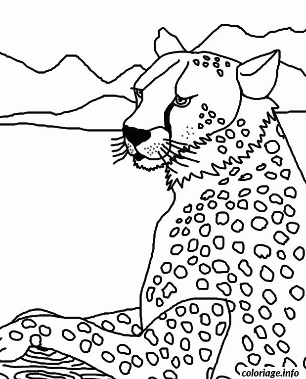 Coloriage Tete De Guepard Dessin Animaux À Imprimer tout Coloriage Tigre À Imprimer 