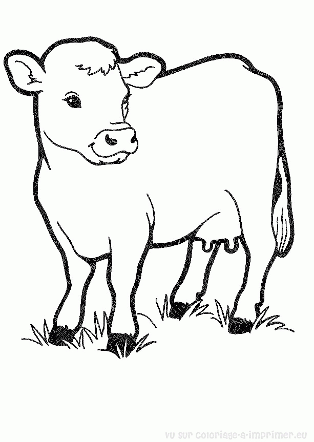 Coloriage Tete De Vache A Imprimer concernant Dessin De La Vache 