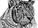 Coloriage Tigre Adulte Mandala De Profil Dessin Tigre À à Mandala Dragon À Imprimer