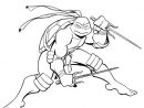 Coloriage Tortue Ninja Gratuit À Imprimer Liste 20 À 40 pour Tortue Ninja Coloriage