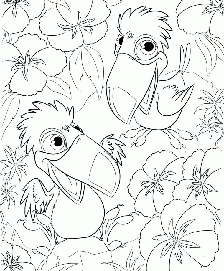 Coloriage – Toucans serapportantà Dessin Coloriage Animaux