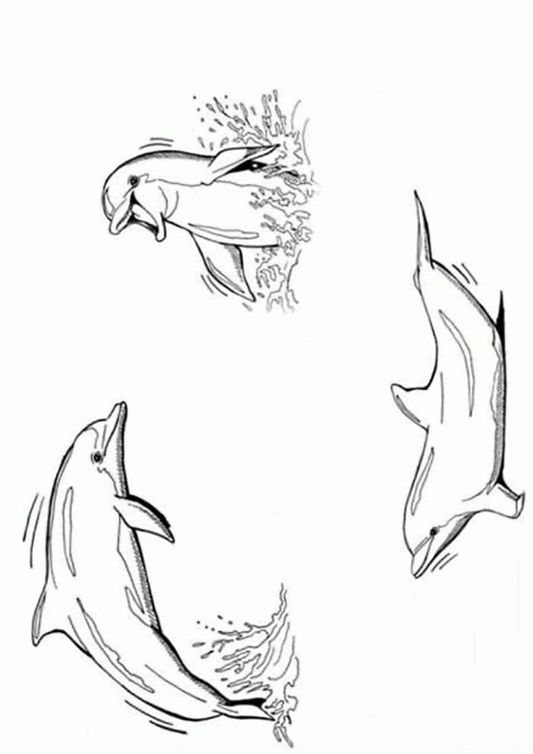 Coloriage Trois Dauphins Coloriage Sur Hugolescargot tout Coloriage De Dauphin À Imprimer Gratuit 