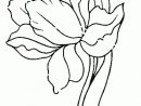Coloriage Tulipe 10 - Coloriage En Ligne Gratuit Pour Enfant serapportantà Coloriage Tulipe
