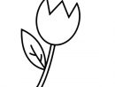 Coloriage Tulipe #161717 (Nature) - Album De Coloriages pour Tulipe Dessin