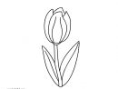 Coloriage Tulipe #161723 (Nature) - Album De Coloriages destiné Dessin Tulipe