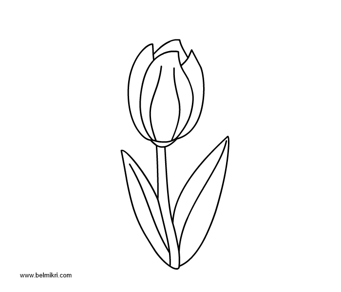 Coloriage Tulipe #161723 (Nature) - Album De Coloriages destiné Dessin Tulipe