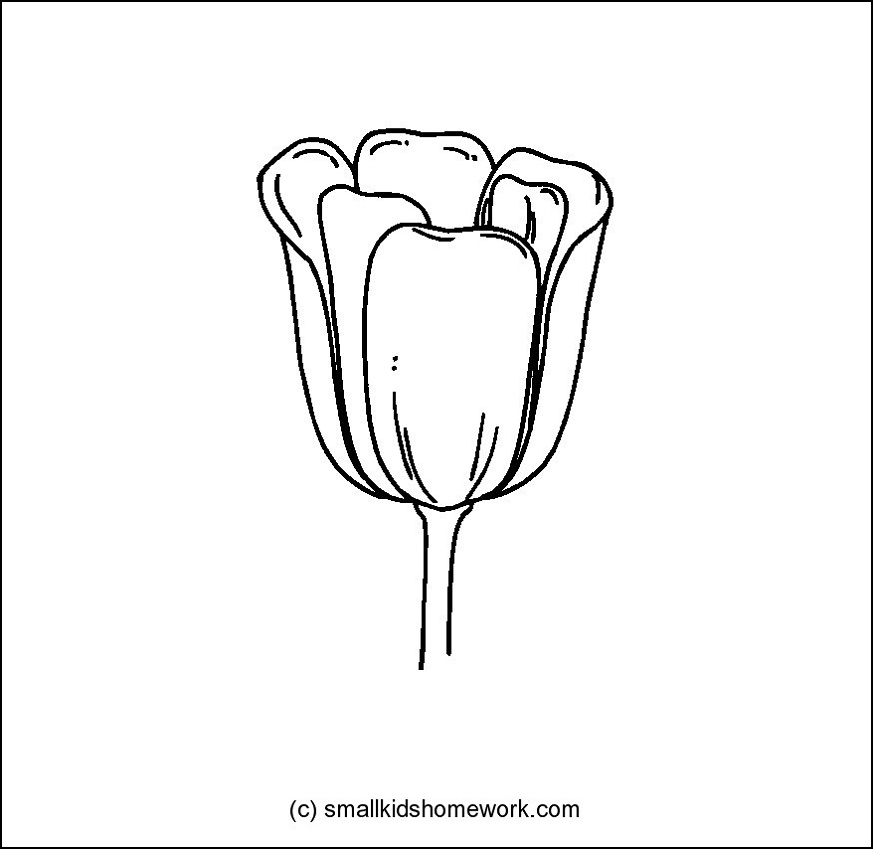 Coloriage Tulipe #161803 (Nature) - Album De Coloriages destiné Coloriage Tulipe 
