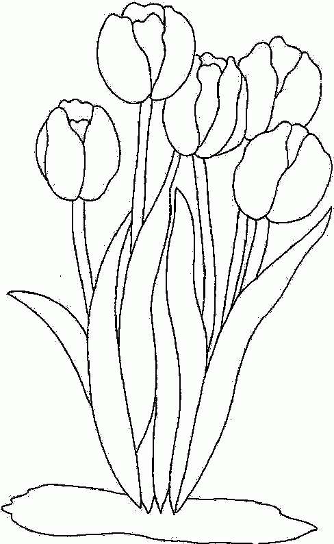 Coloriage Tulipe 21 - Coloriage En Ligne Gratuit Pour Enfant encequiconcerne Tulipe Dessin 