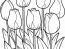 Coloriage Tulipe Gratuit À Imprimer Liste 80 À 100 destiné Coloriage Fleurs À Imprimer