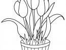 Coloriage Tulipes À Décorer Dessin Gratuit À Imprimer dedans Tulipe Dessin