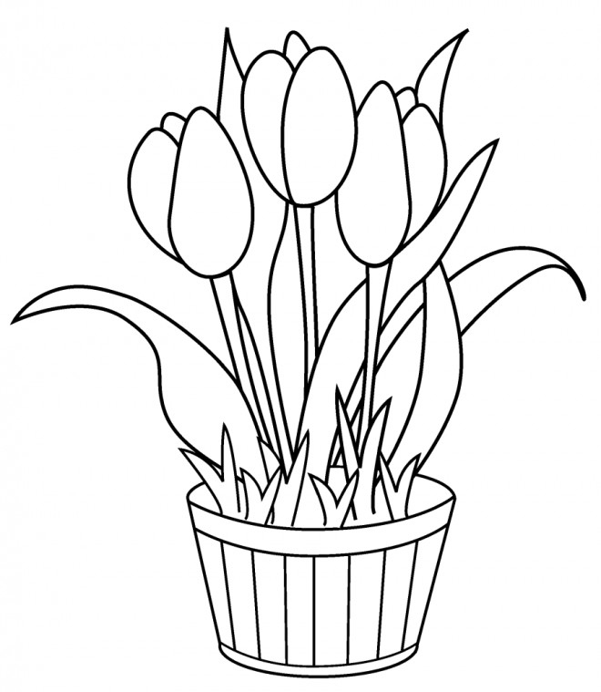 Coloriage Tulipes À Décorer Dessin Gratuit À Imprimer dedans Tulipe Dessin 
