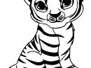 Coloriage Un Bebe Tigre Felin Avec Fourrure Jaune Rayee De tout Coloriage À Imprimer Animaux