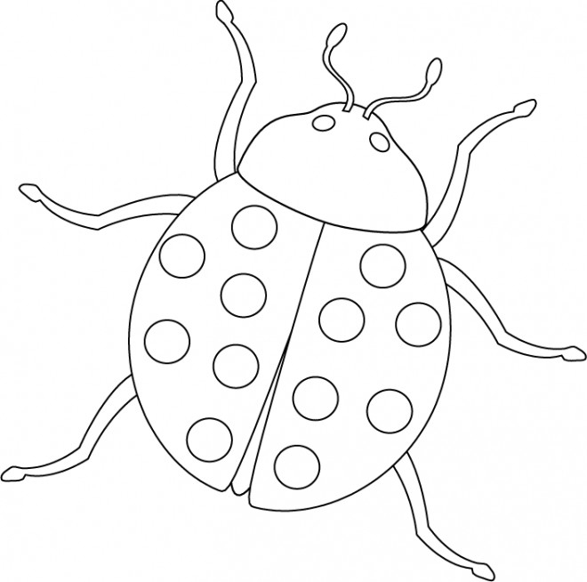 Coloriage Une Coccinelle Maternelle Dessin Gratuit À Imprimer avec Dessiner Coccinelle 