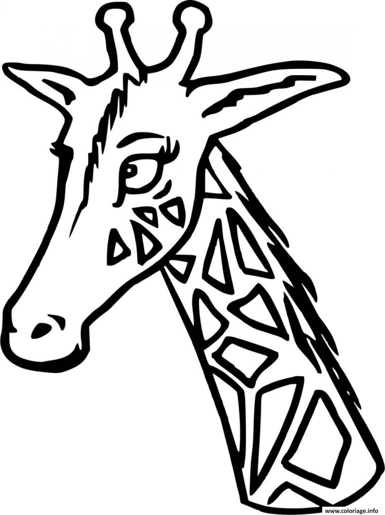 Coloriage Une Tete De Girafe Avec Son Cou Dessin Girafe À dedans Coloriage Tete