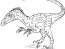 Coloriage Velociraptor - Dessin Facile Couleur encequiconcerne Dessin De Dinosaures