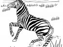 Coloriage Zèbre #13053 (Animaux) - Album De Coloriages pour Coloriage Zebre