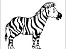 Coloriage Zebre 2 .:. Coloriages Animaux De La Jungle En dedans Coloriage Zebre