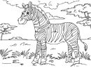 Coloriage Zebre Savane Dessin Zebre À Imprimer dedans Dessin Animaux Savane