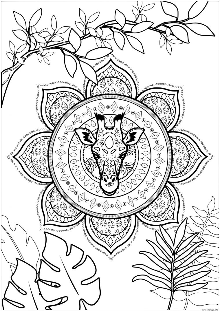 Coloriage Zen Girafe Mandala Feuilles Dessin Girafe À Imprimer serapportantà Des Mandala A Imprimer