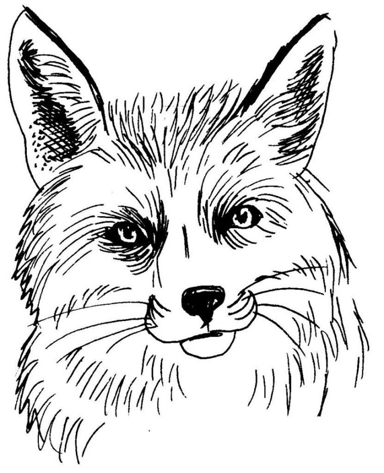 Coloriages À Imprimer : Animaux, Numéro : 614083 pour Coloriage À Imprimer D Animaux