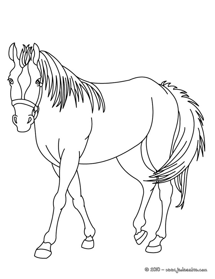 Coloriages À Imprimer : Cheval, Numéro : 224863 concernant Dessin A Imprimer Chevaux 