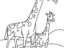 Coloriages À Imprimer : Girafe, Numéro : 102B191 concernant Coloriage Nature À Imprimer