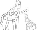 Coloriages À Imprimer : Girafe, Numéro : 754220 dedans Dessin Animaux À Colorier