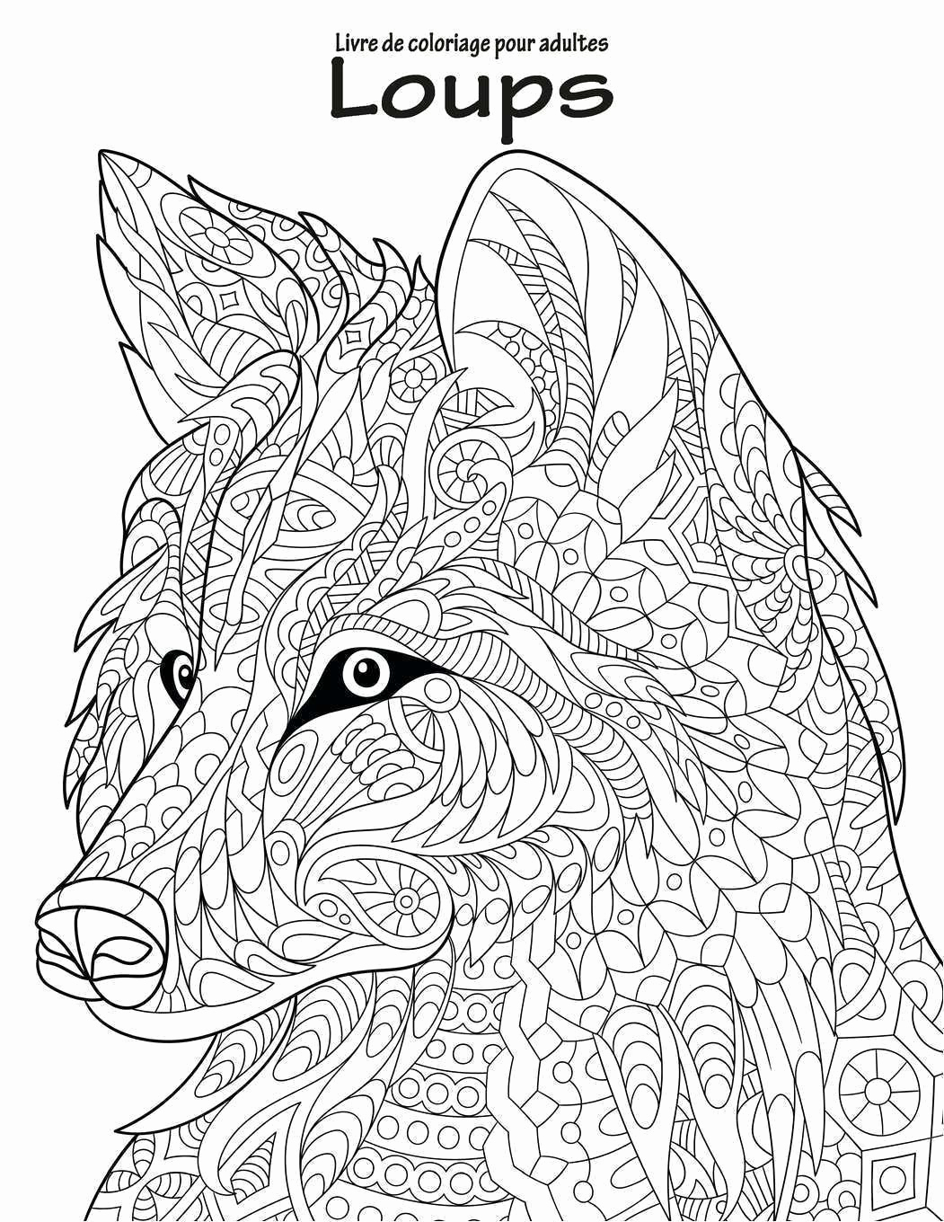 Coloriages À Imprimer : Loup, Numéro : B45Ec8F8 tout Coloriage Tigre À Imprimer 