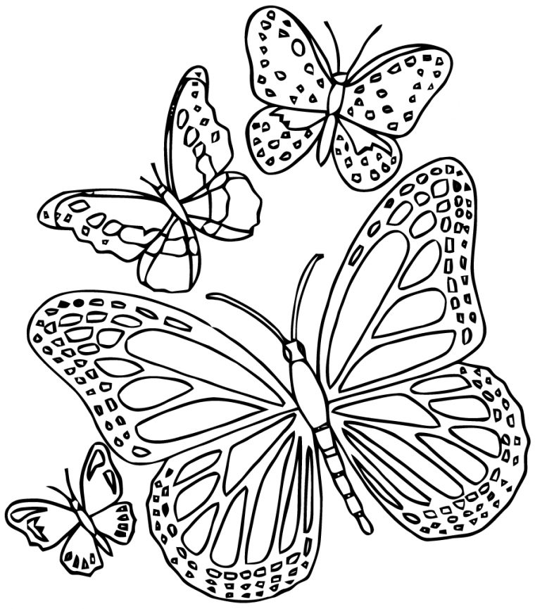 Coloriages À Imprimer : Papillon, Numéro : 2Daea188 intérieur Image Papillon À Imprimer