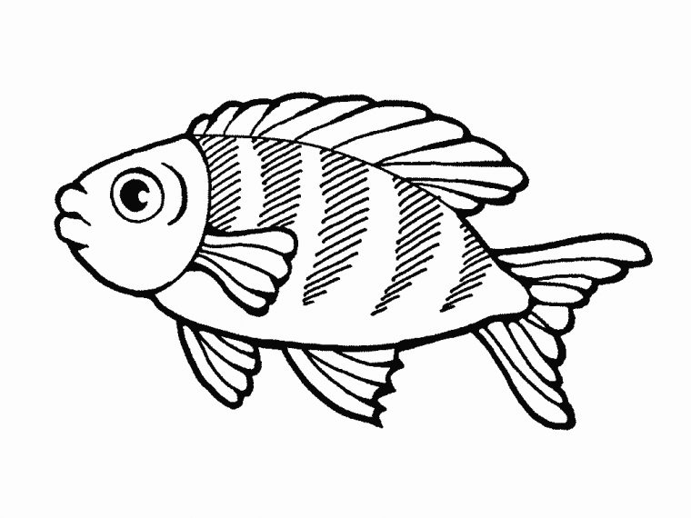 Coloriages À Imprimer : Poisson, Numéro : 4065 destiné Modele De Poisson A Dessiner