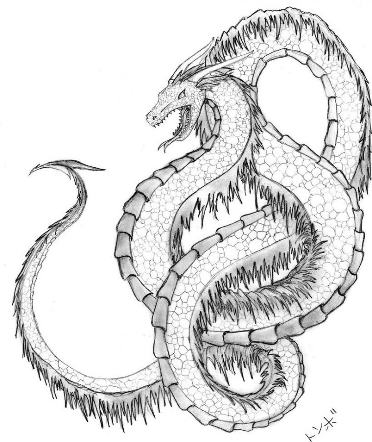 Coloriages À Imprimer : Serpent, Numéro : 64861 serapportantà Coloriage Serpent