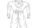 Coloriages À Imprimer : Son Goku, Numéro : 9650 destiné Coloriage Normal