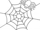 Coloriages Araignée (Animaux) - Album De Coloriages concernant Araignée À Colorier