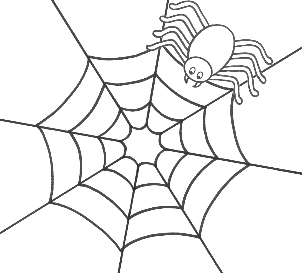 Coloriages Araignée (Animaux) - Album De Coloriages concernant Araignée À Colorier 