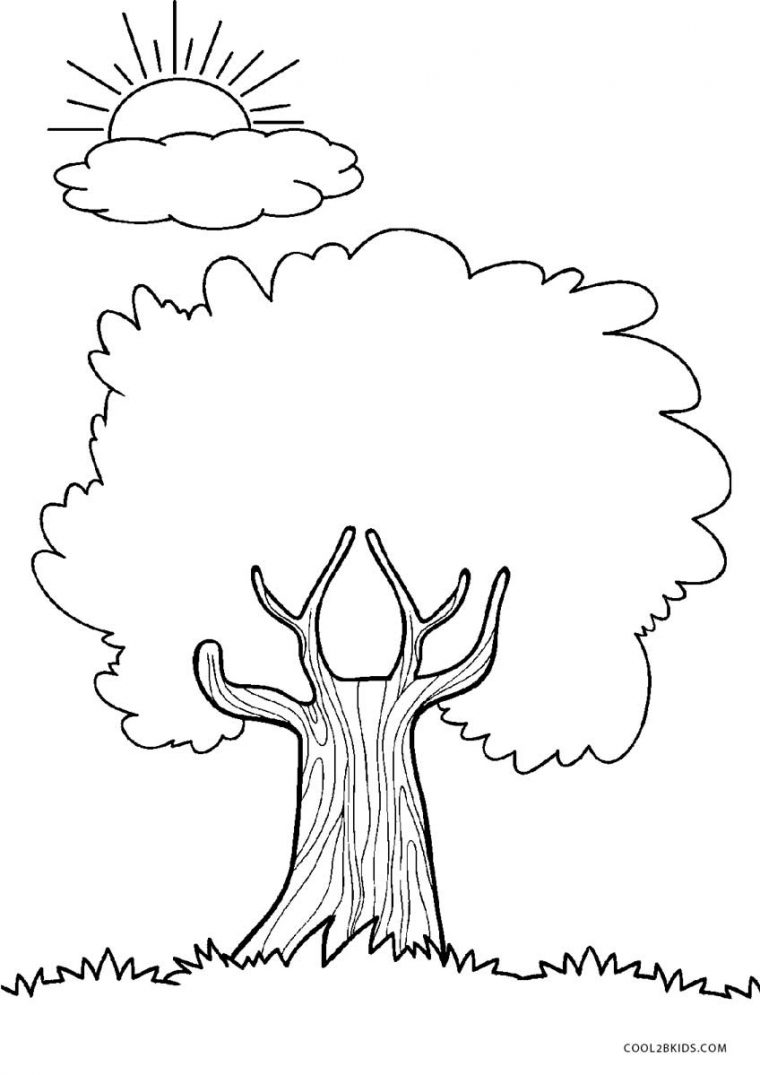 Coloriages – Arbre – Coloriages Gratuits À Imprimer à Coloriage Arbre