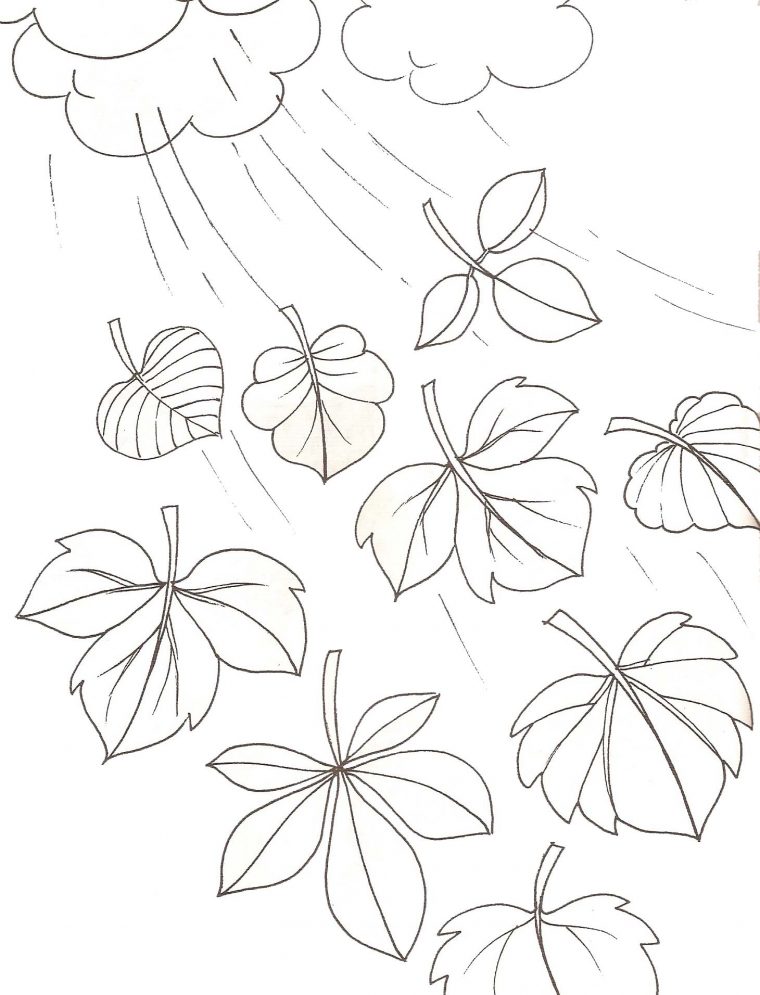 Coloriages Automne tout Dessiner Des Feuilles