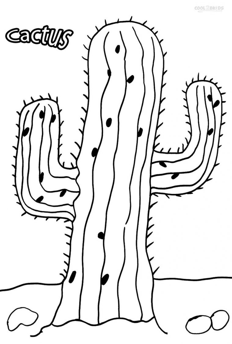 Coloriages – Cactus – Coloriages Gratuits À Imprimer concernant Coloriage Gratuits