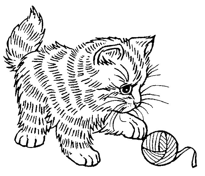 Coloriages Chaton (Animaux) - Page 3 - Album De Coloriages dedans Coloriage Félins 