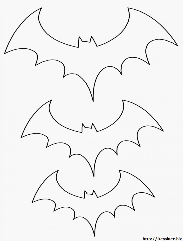 Coloriages Chauve-Souris (Animaux) – Album De Coloriages destiné Dessin De Chauve-Souris D Halloween