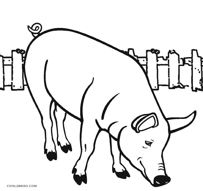 Coloriages - Cochon - Coloriages Gratuits À Imprimer serapportantà Coloriage Cochon 