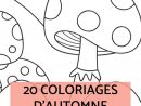 Coloriages D'Automne - Le Carnet D'Emma  Coloriage concernant Coloriage D Automne